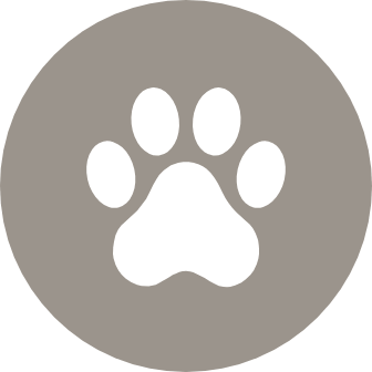 Dog park &amp; pet spa
